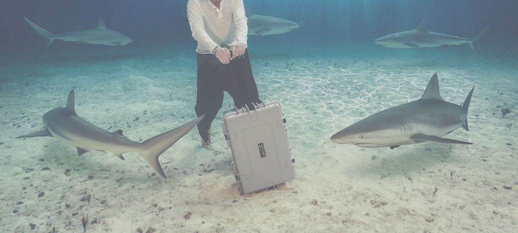 type6700-slider-outdoor-3-1024x461-underwater